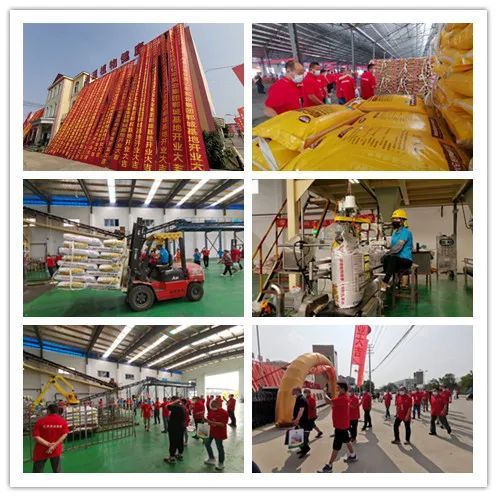 百萬噸酵素肥基地落成 億豐實業集團發布會釋放行業重磅信息