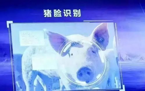 互聯網巨頭跨界種黃瓜，人工智能引領現代農業新浪潮